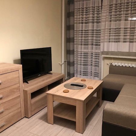 Apartament Na Zielonej Parter Lejlighed Kędzierzyn-Koźle Eksteriør billede